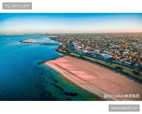 布莱顿未来规划 布莱顿未来规划