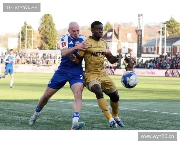 英超水晶宫足总杯