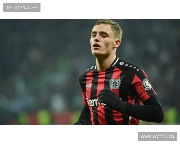 维尔茨欧战关键战输出稳定性分析