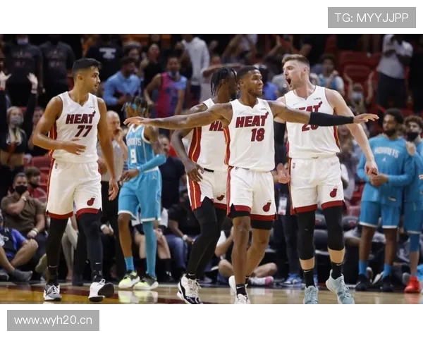 沃特金斯战术适配性与上限质疑解析