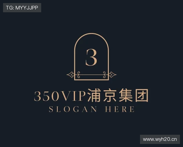 解读350vip浦京集团